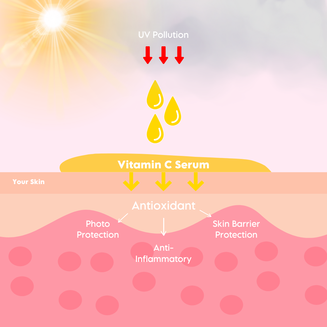 Brighten & Hydrate - Vitamin C Hyaluronic Acid Serum